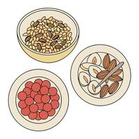 Assorted Dry Food in Bowls with Nuts, Seeds and Almonds vector