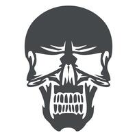 black and white human skull icon isolated on white background vector