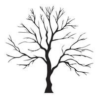 Leafless Tree Silhouette vector