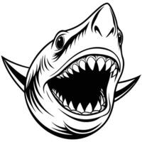shark head with open mouth and teeth vector