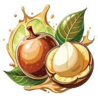 an illustration of a nut and a leaf vector