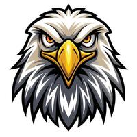 an eagle head with a big beak and yellow eyes vector