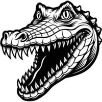 a crocodile head with its mouth open and teeth vector