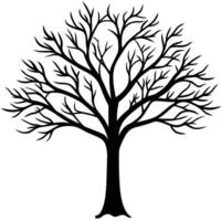 a black and white tree with no leaves vector