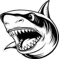 shark head with open mouth and teeth vector
