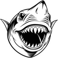 shark head with open mouth and teeth vector