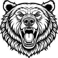 a bear head with its mouth open and its teeth showing vector