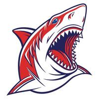 shark head with open mouth and teeth vector
