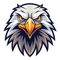 an eagle head with a big beak and yellow eyes vector