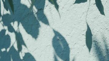 Tree shadows creating abstract patterns on a white wall under bright sunlight. Outdoor natural background. video