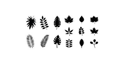 Print Branches and Leaves Silhouettes Set. vector