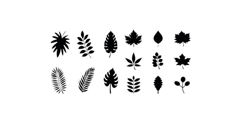 Print Branches and Leaves Silhouettes Set.