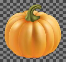 ripe pumpkin isolated on background and reflection Illustration Thanksgiving Day and Halloween Mesh gradient is used vector
