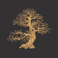 tree drawing, bonsai tree, golden line drawing vector
