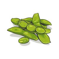Minimalist Hand Drawn Edamame Pod and Bean Illustration vector