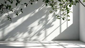 Abstract Light blue leaves casting soft shadow on a white background, creating a serene and elegant atmosphere video