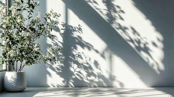 Light blue leaves casting soft shadows on a white background, creating a serene and elegant atmosphere video