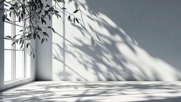 Abstract Light blue leaves casting soft shadow on a white background, creating a serene and elegant atmosphere video