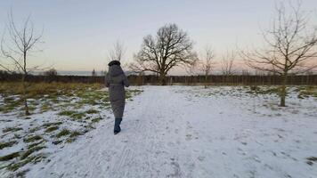 A young woman in a long winter coat walks along a snowy path towards a 300-year-old oak tree at sunset. The bare branches of surrounding trees contrast with the soft pastel sky, creating a peaceful video