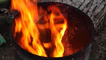 Vibrant Flames Erupting from a Barrel Examining Fire Dynamics and Power video