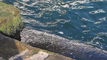 Water crashing against rocks at the edge of a dock video
