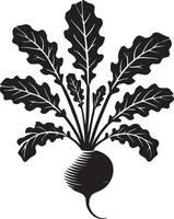 Spicy radish shadow design isolated on a crisp white surface vector