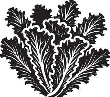 Simple lettuce plant silhouette design on clean white background vector