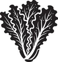 Sophisticated lettuce leaf silhouette on a white background vector