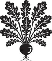 Nutritious radish root silhouette on a blank white background vector
