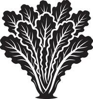 Bold lettuce leaf illustration on a pristine white surface vector