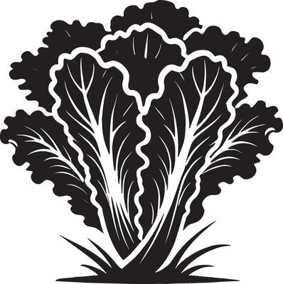 Refined lettuce plant silhouette design on a crisp white background