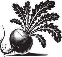 Farm-to-table radish root shadow illustration on white vector
