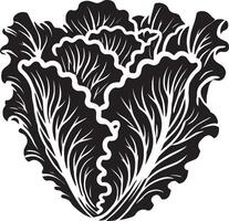 Emotive lettuce leaf design on a crisp white background vector