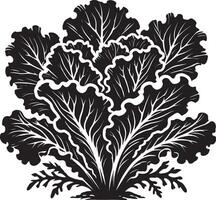 Refined lettuce plant silhouette design on a clean white background vector