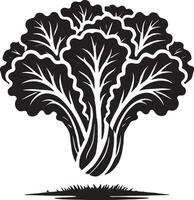 Artistic lettuce leaf shape design on pure white vector