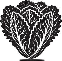 Graceful lettuce leaf shadow design on clean white vector