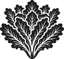 Timeless lettuce plant artwork on a crisp white background vector