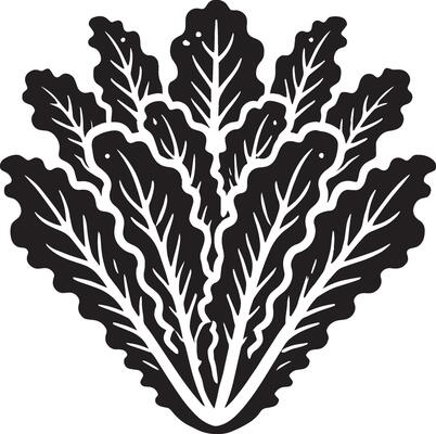 Unique lettuce leaf silhouette on a pristine white background