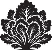 Inspired lettuce leaf shadow artwork on clean white vector