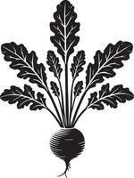 Flavor-packed radish vegetable shadow artwork on a blank white backdrop vector