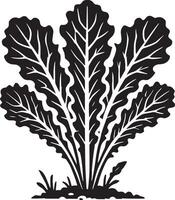 Decorative lettuce plant shape on a crisp white canvas vector
