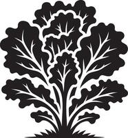 Simplistic lettuce leaf design on a clean white surface vector