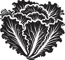 Stunning lettuce leaf shape on a clean white surface vector