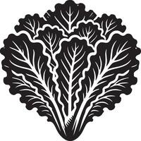Minimalist lettuce leaf shadow on a clean white backdrop vector