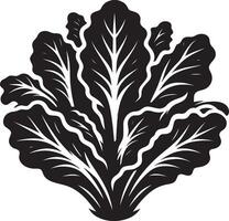 Sleek lettuce leaf shadow on clean white vector