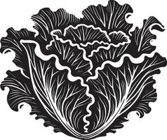 Refined lettuce leaf shadow artwork on a clean white surface vector