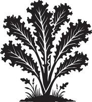 Dynamic lettuce leaf shape design on a blank white canvas vector