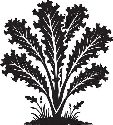 Dynamic lettuce leaf shape design on a blank white canvas