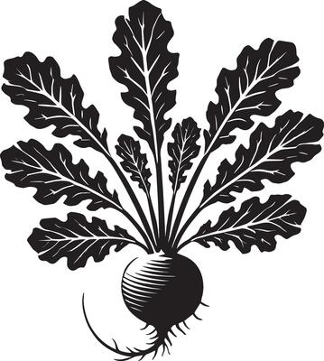 Harvest-fresh radish vegetable shape on white
