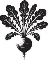 Tasty radish root shadow artwork on a blank white canvas vector